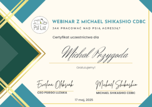 dyplom michał agresja