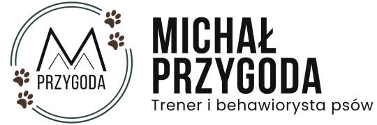 michał przygoda